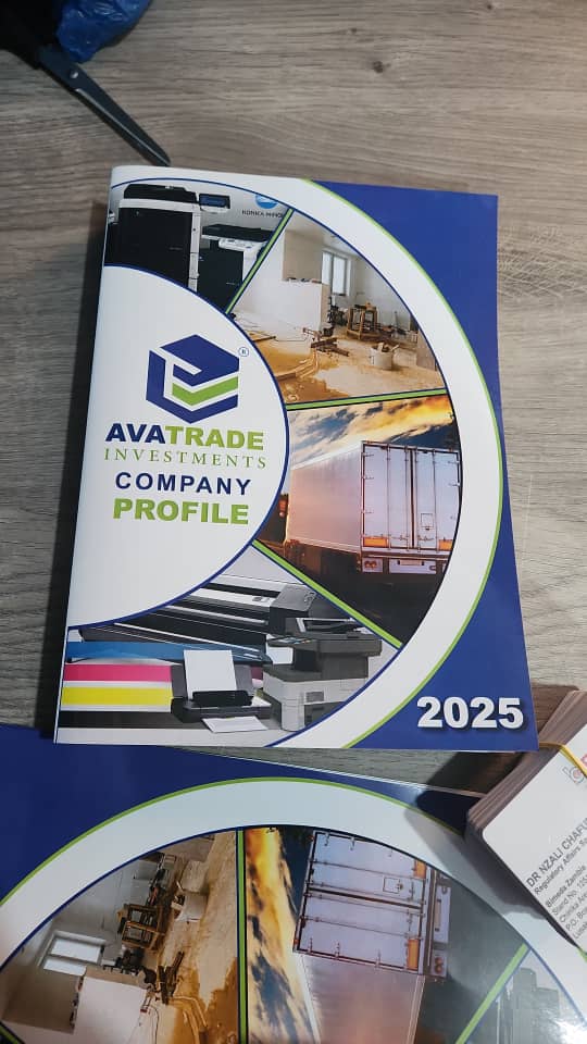 Company Profile Example 4